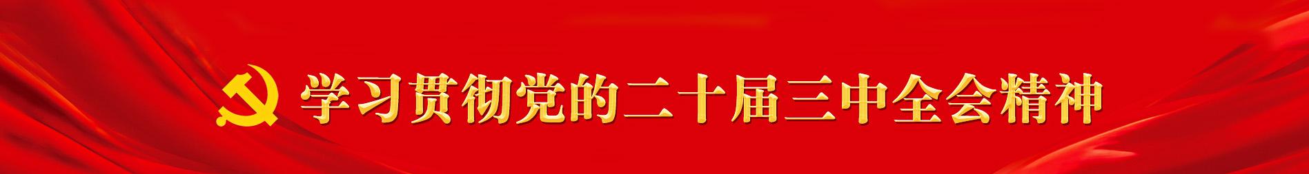 学习贯彻党的二十届三中全会精神